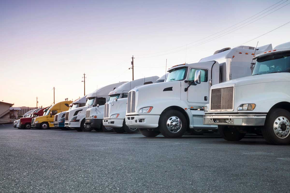 fleet of white trucks with Commercial Auto & Commercial Fleet Insurance in Frisco